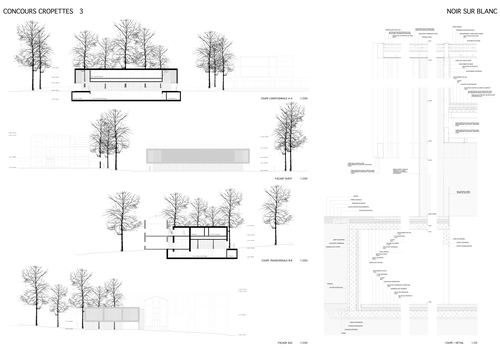 Planche__3_large