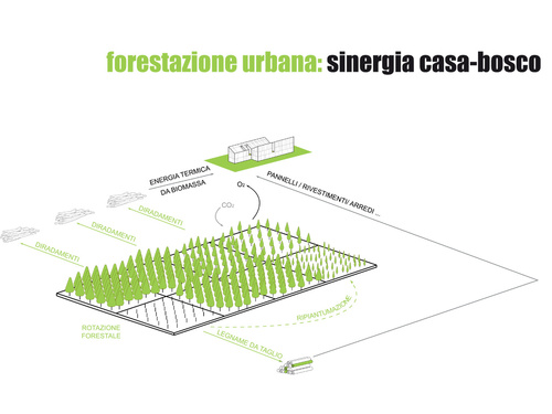 05-casa-bosco_large