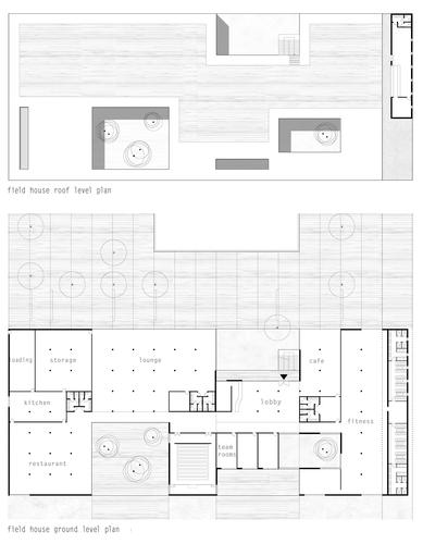Piante_field_house_large