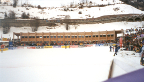 446053043_large