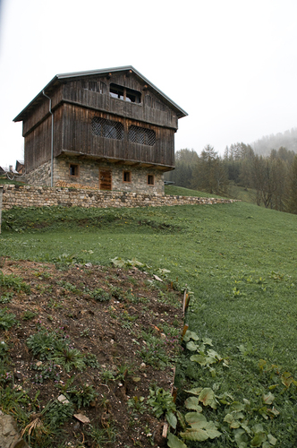 Dsc_3836_large
