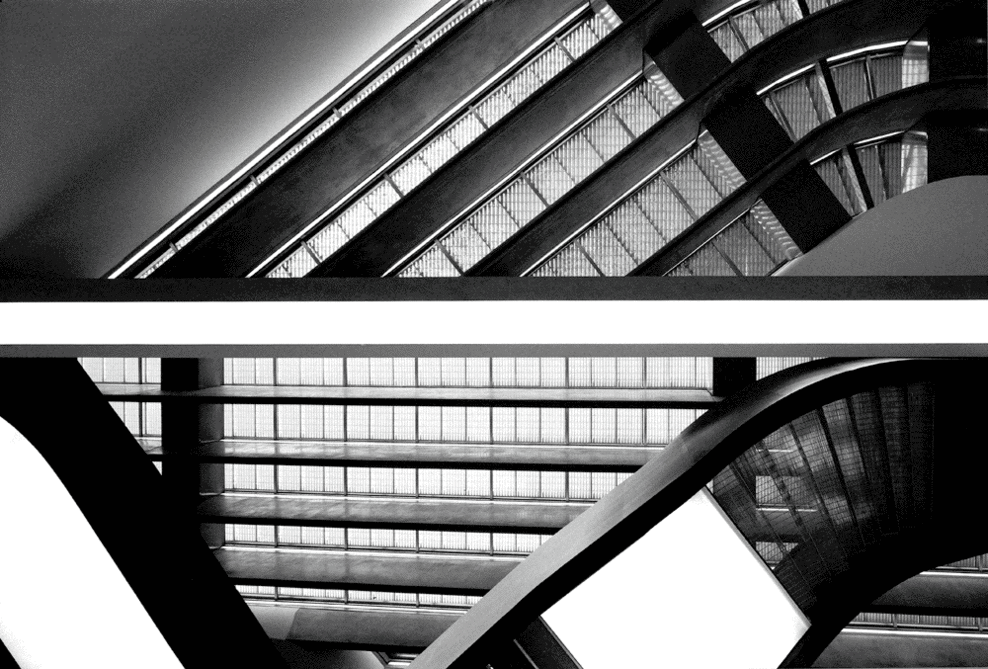 015maxxi©luigifiletici_full