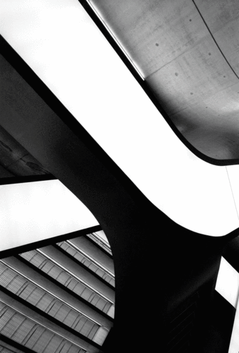 022maxxi©luigifiletici_large