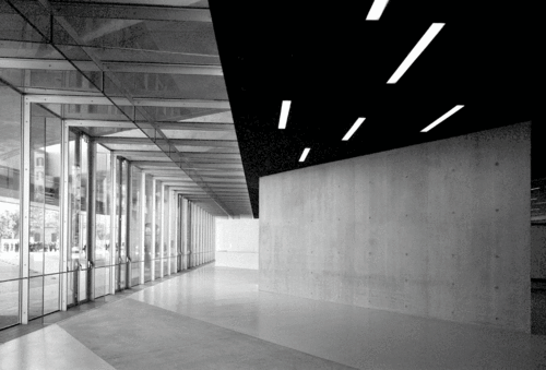 A034maxxi©luigifiletici_large