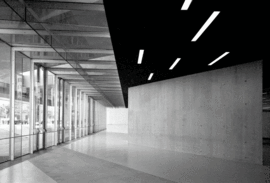 A034maxxi©luigifiletici_normal