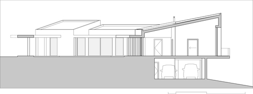 Section-1_large