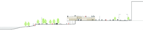 Seccion_transversal_1_large