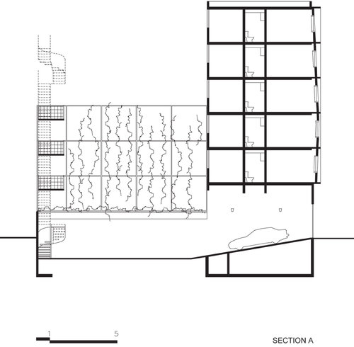 Dr-g-section1_large