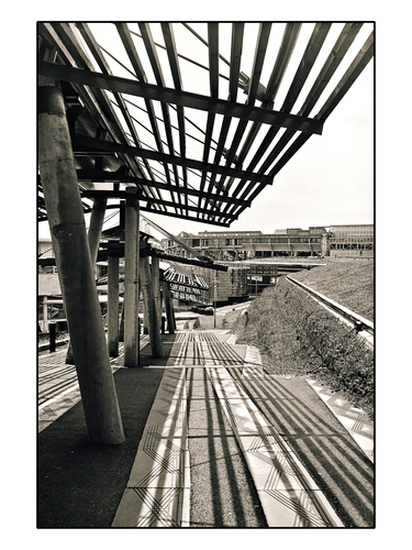Vigo-134_large