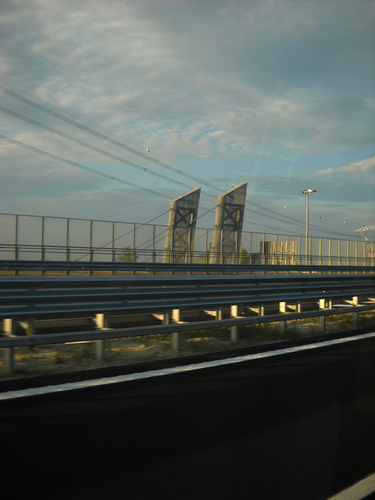 Pas15_large