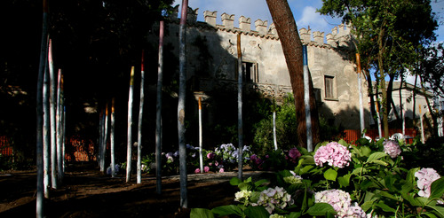 Enzoimg_9395_large