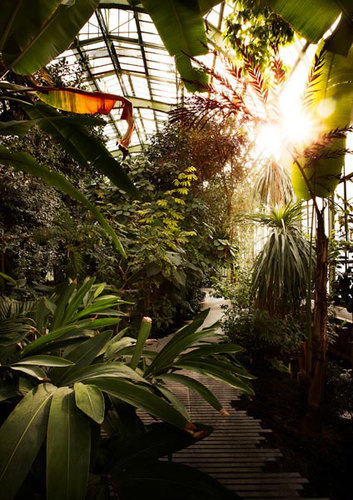 Com_lan_serrejardindesplantes_13_06_2010-0104_large