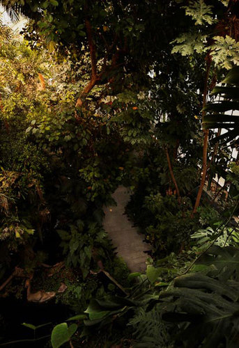 Com_lan_serrejardindesplantes_13_06_2010-0156_large
