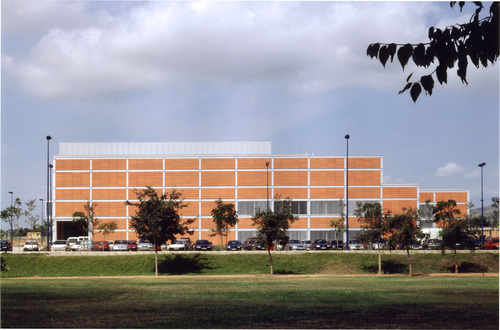 25655_large