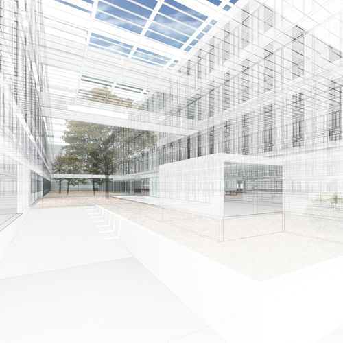 Primera_fase_-_cam06_-_lineas_large