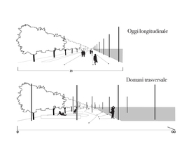 Spazio_longitudinale-trasversale_normal