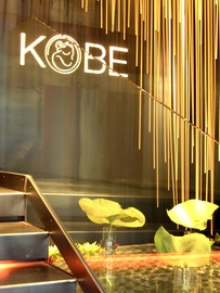 Kobe_1b_normal