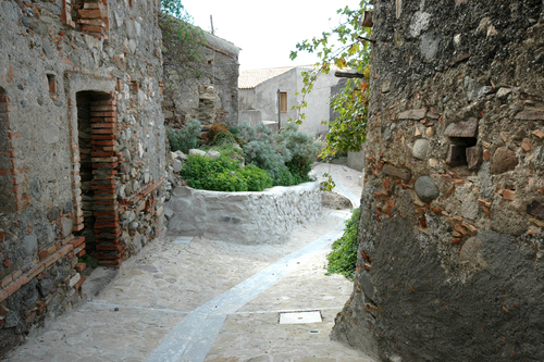 Dsc_4053_large