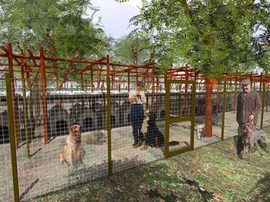 Ristrutturazione restauro