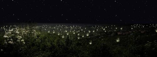 Nochelight_large