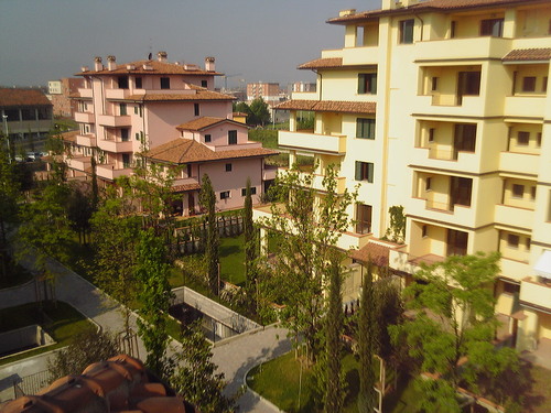 Pic-0032_large