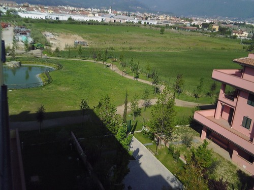Pic-0054_large