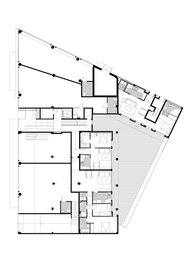 Planta-l_normal