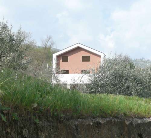 Foto4_large