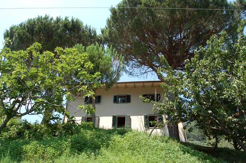 Padronale_054_large