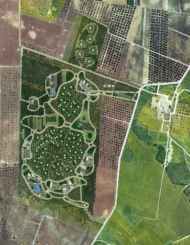 02_general-plan_large