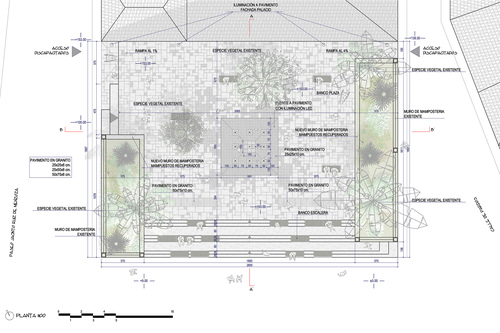 Planta_large