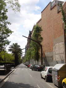 14_dbravo_large