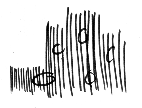 Croquis_bn_large