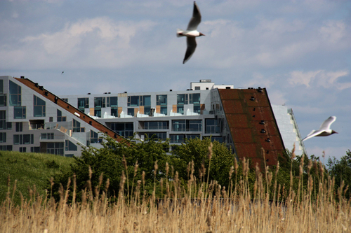 8h_image-by-ty-stange_11_large