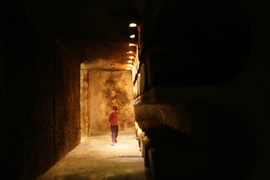 Img_1801_normal