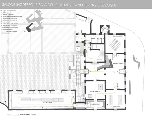 17_pal_cavalli_pianta_pt_large