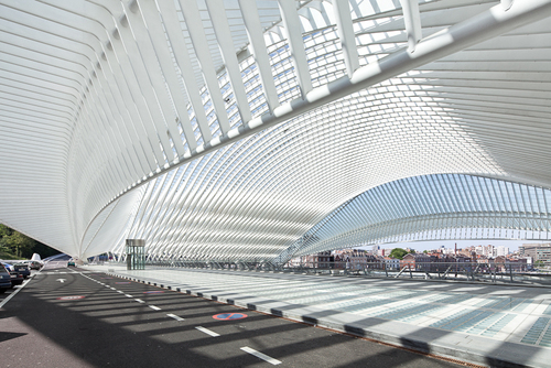 Jm_liegeguillemins-20_large