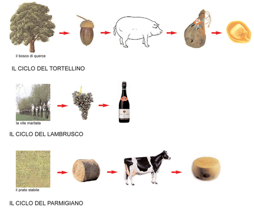 Le_filiere_del_territorio_large