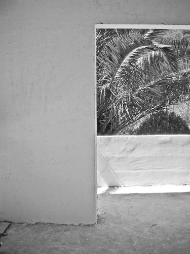 Foto-1_large