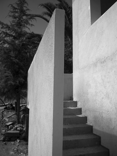 Foto-3_large