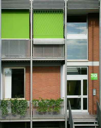 Grobbo08_large