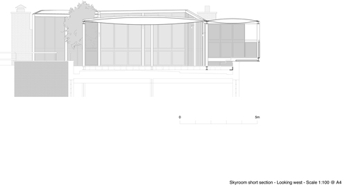 Skyroom-short-section_large