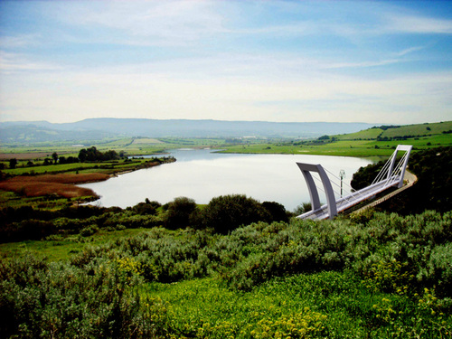Ponte_04_large