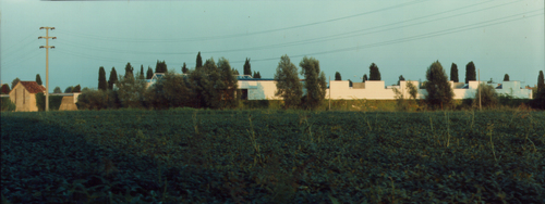 01_cj_guidi_large