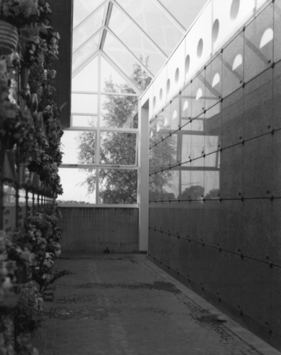 09_cj_guidi_large