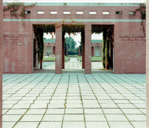 08_cf_guidi_large