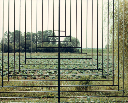 10_cf_guidi_large