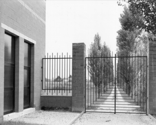 11_cf_guidi_large