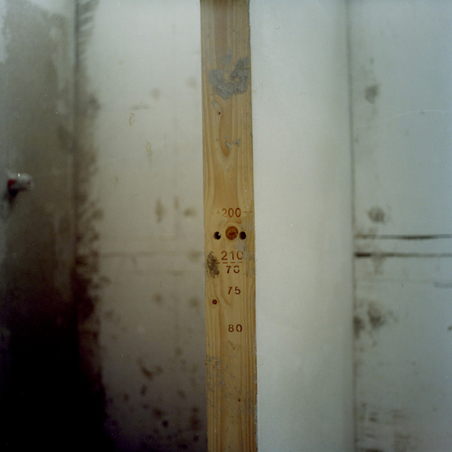 12_isf_guidi_large
