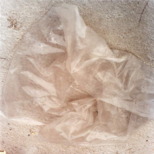 20_isf_guidi_large